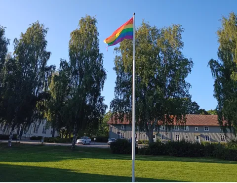 Pride