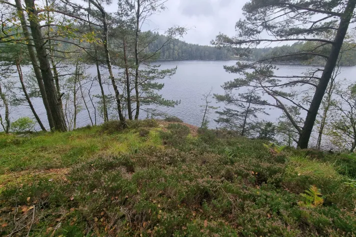 Sjön vid Skåregärde