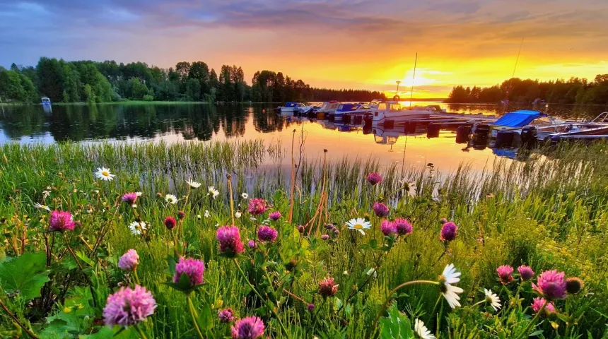Sommarbild