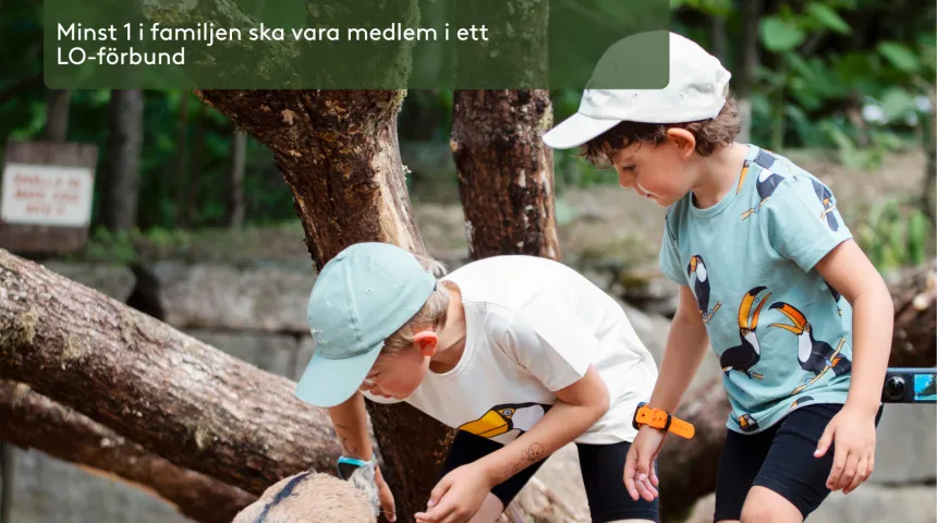 Borås Djurpark